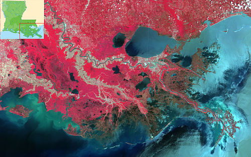 Mississippi River Delta